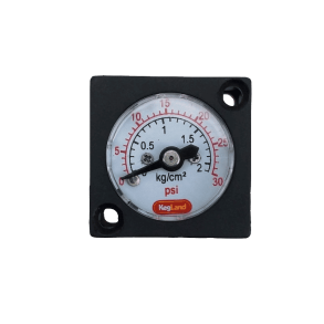 Mini gauge 0-30 psi (0-2 bar)