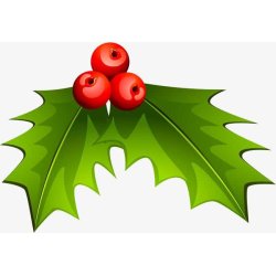 Holly Christmas 12,5l all-grain kit