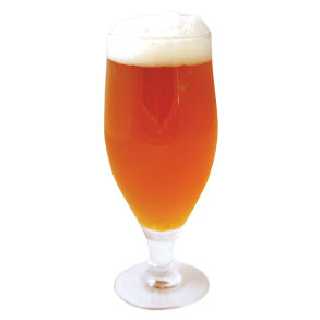 Orval clone 25l All grain kit