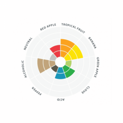 Lallemand Abbaye Belgian Style Alegr  11g