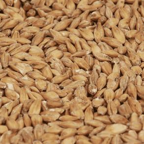 Castle Malting Acid Malt