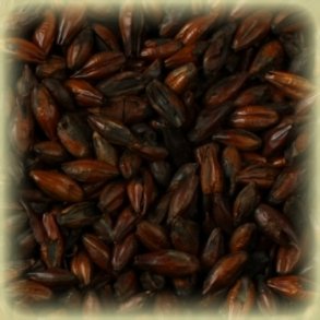 Castle Malting Roasted Barley Malt