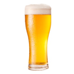 The Golden Lion 12,5l All grain kit