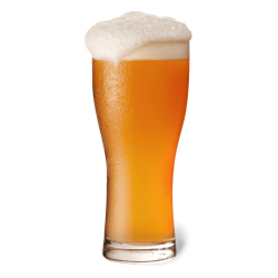 Rockabilly Brew - Wildkat IPA 25l All grain kit