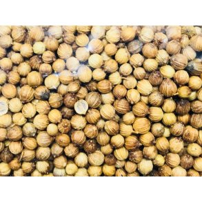 Koriander 50g