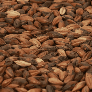 Castle Malting Cafe Malt