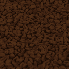 Castle Malting Wheat Chocolate Malt