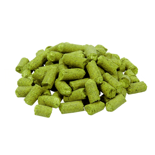 Northen Brewer 100g 2022 Alpha 6,1% pellets