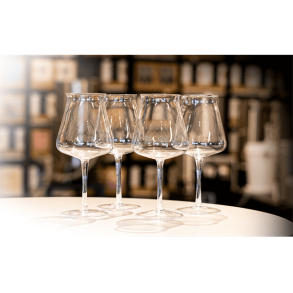 Kegland 4x 0,46 l Craft beer l glas