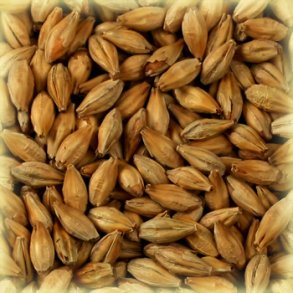 Castle Malting Diastatic 