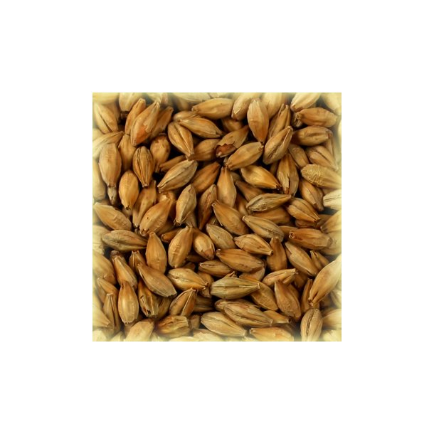 Castle Malting Diastatic 