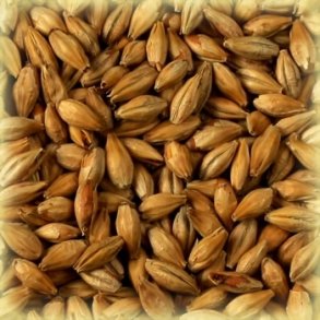 Castle Malting Arome Malt