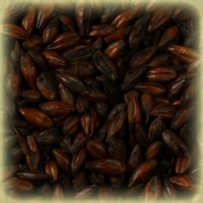 Castle Malting Black Malt
