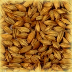 Castle Malting Cara Gold Malt