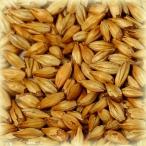 Castle Malting Cara Clair Malt