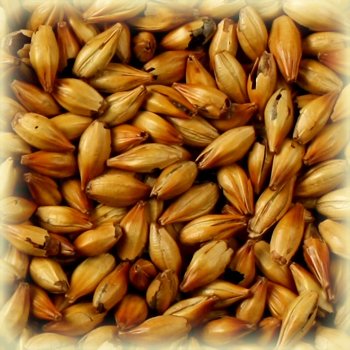 Castle Malting Red Intense - Basis Malt - JMBRYG APS