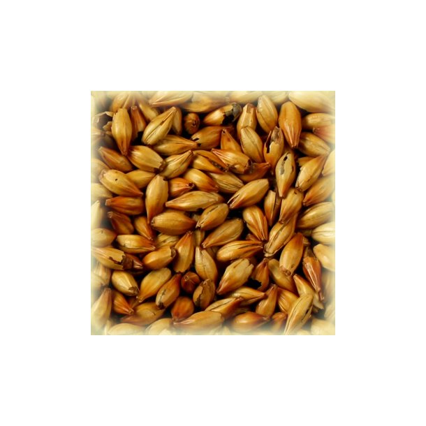 Castle Malting Red Intense