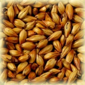 Castle Malting Cara Ruby Malt