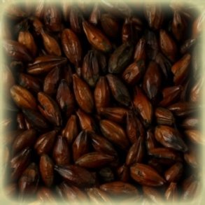 Castle Malting Chocolate Malt