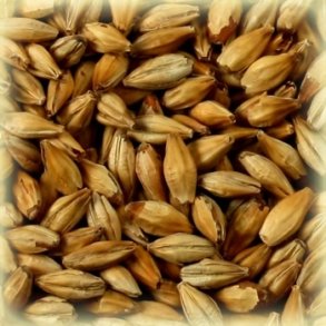 Castle Malting Melano Malt