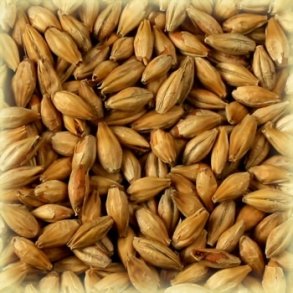 Castle Malting Munich Malt