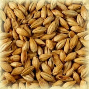 Castle Malting Munich Light