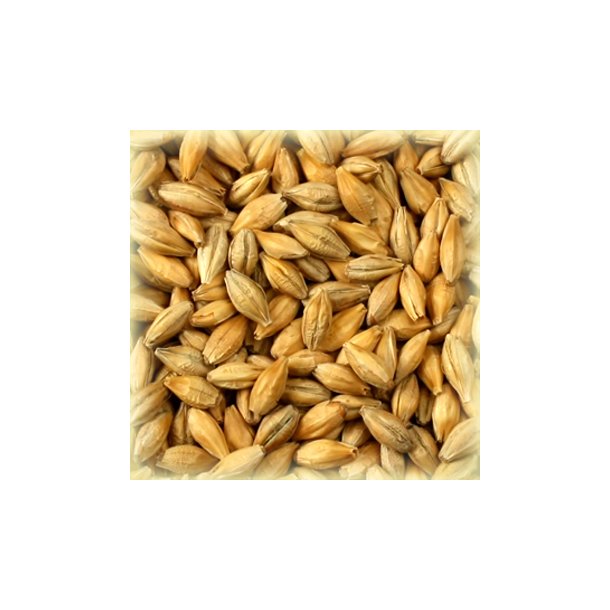 Castle Malting Smoked Malt 1,6 - 4 PPM