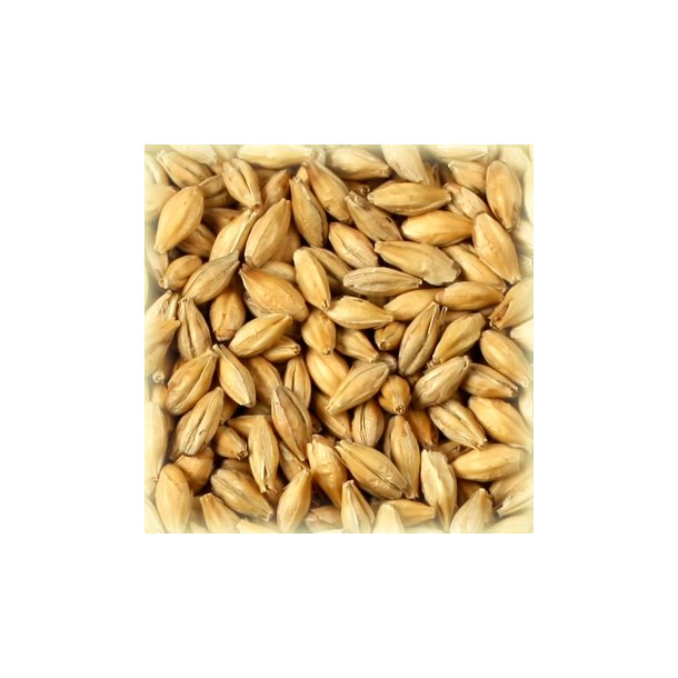 Viking Pilsner Malt  25 kg