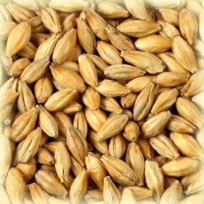 Castle Malting Pilsner malt