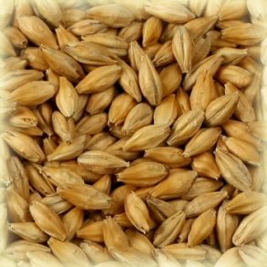 Castle Malting Vienna Malt