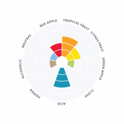 Lallemand Wildbrew Philly Sour 11g