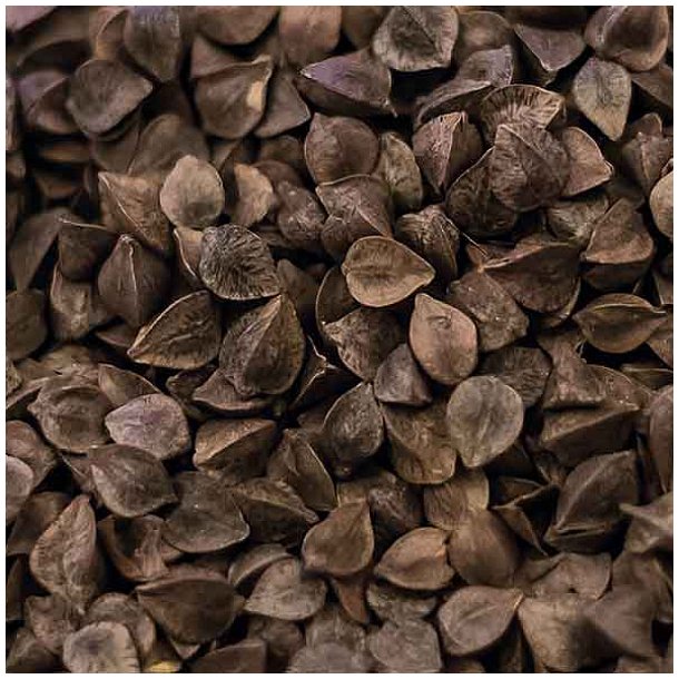 Castle Malting Buckwheat