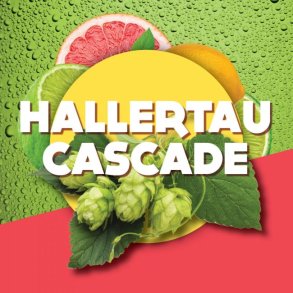 Hallertau Cascade 2023 Alpha 6,1% 100g