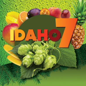 Idaho7 100g (USA) pellets 2024 Alpha 12,1%
