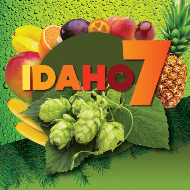 Idaho7 100g (USA) pellets 2022 Alpha 13,6%