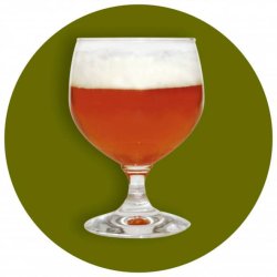 Kingdom IPA 5l all-grain refill kit