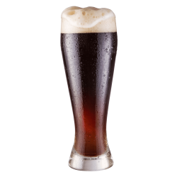 Dark Tjekkisk Lager 12,5l All grain kit