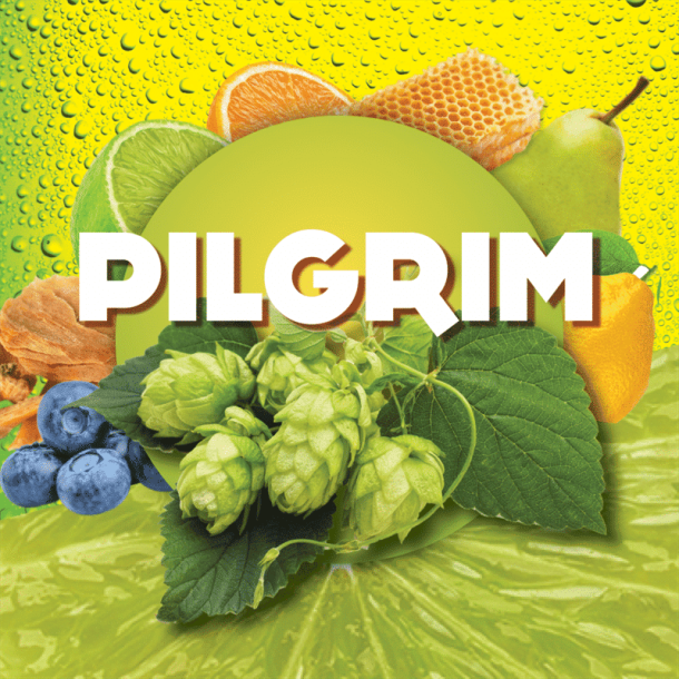 Pilgrim 100g (UK) Alpha 2020 9,3%