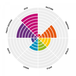 Pinnacle Heritage Crisp Sour yeast 11,5g