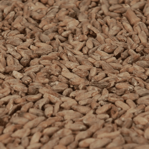 Crisp Malting Rye (rug) malt