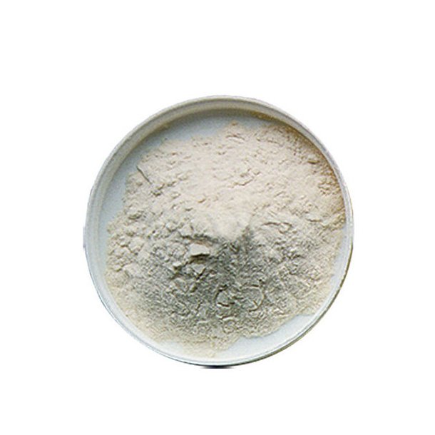 Spraymalt light 1 kg